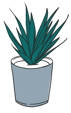 graphic designed snake plant